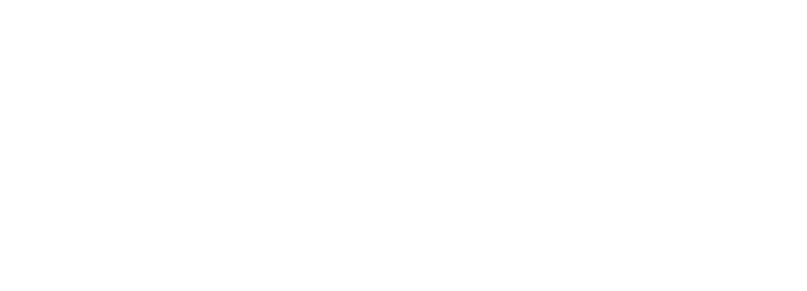 virtus logo white